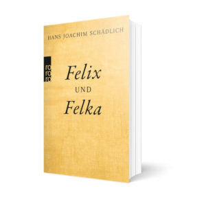 Felix Felka Book Mockup.jpg