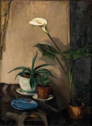 Stillleben mit Calla und Agaven | 1923