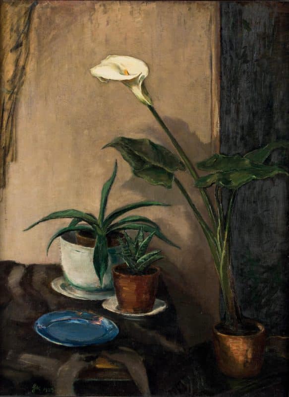 Stillleben mit Calla und Agaven | 1923