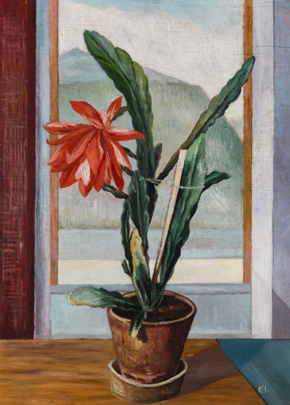 Blumentopf am Fenster | o. D.